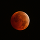 Image for article titled Tonight will be the darkest night of the past 500 years